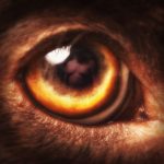 Katseita ensilumen aikaan